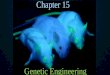 Chapter 15€¦ ·  · 2017-11-16Genetic Engineering Chapter 15. ... V. Genetic Engineering: Make changes in DNA code of living organism ... DNA = recombinant DNA 3
