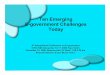 Ten Emerging E-government Challenges Todayunpan1.un.org/intradoc/groups/public/documents/APCITY/...Ten Emerging E-government Challenges Today 4th International Conference on E-governance