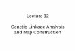 Lecture 12 Genetic Linkage Analysis and Map Construction 6764 145.09 1476 145.09 3778 144.61 2252 144.61 2250 143.22 gwm631 ... Expected genotypic frequency in backcross and …
