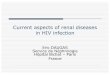 Current aspects of renal diseases in HIV infection · Current aspects of renal diseases in HIV infection ... Renal failure • CD4 ≤200 mm3 • Viral load ... Acute renal failure