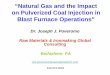 “Natural Gas and the Impact on Pulverized Coal …€œNatural Gas and the Impact on Pulverized Coal Injection in Blast Furnace Operations” Dr. Joseph J. Poveromo . Raw Materials