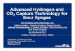 Advanced Hydrogen andAdvanced Hydrogen and CO2 …€¦ · Air Products' "Sour PSA" Technology for H 2 Production and CO 2 Capture H 2 From Gifi zImproved route Water Gas Shift Gasifier