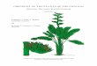 CHECKLIST OF THE PLANTS OF THE GUIANAS - Department of Botany… · 2008-08-13 · CHECKLIST OF THE PLANTS OF THE GUIANAS (Guyana, Surinam, French Guiana) 2nd Edition J. Boggan, V