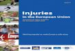Injuries - European Commission · ACKNOWLEDGEMENTS The fourth edition of “Injuries in the European Union” presents an EU-level summary of the most recent injury statistics, mainly