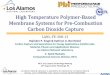 High Temperature Polymer -Based Membrane Systems … Library/Events/2016/c02 cap review/3... · High Temperature Polymer -Based Membrane Systems for Pre ... membrane reactor ... High