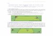 335 EXERCISES AND GAMES FOR HITTING THE BALL - FIH for Hitting the Ball - pages... · 335 EXERCISES AND GAMES FOR HITTING THE BALL ... dribbles it past the cone furthest away and