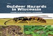 Outdoor Hazards in Wisconsin (G3564) - Shawano County ... · 2. Amphibians . 3. Salamanders 3. Toads 4. ... tical eye pupils, while nonvenomous ... Outdoor Hazards in Wisconsin: Scott