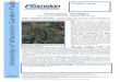 pddc.wisc.edu€¦ · Web viewPlant only resistant juniper species, varieties, and cultivars. DO NOT plant conifers in poorly drained sites or heavily shaded areas