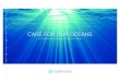 CARE FOR OUR OCEANS - zeppelin … · CARE FOR OUR OCEANS ... Filtrex ACB Filter, and Boll Filter, ... All three fi lter types have automatic back fl ushing and are self-cleaning