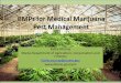 BMPs for Medical Marijuana Pest Management for Medical Marijuana Pest Management Kathy Murray Maine Department of Agriculture, Conservation and Forestry Kathy.murray@maine.gov 
