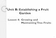 Unit B: Establishing a Fruit Garden - Afghan Agricultureafghanag.ucdavis.edu/educational-materials/files/fruit-nuts/ed... · Unit B: Establishing a Fruit Garden. ... applied from