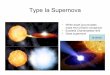 Type Ia Supernova - ODUww2.odu.edu/~skuhn/PHYS313/Supernovae.pdf · The 2015 Long Range Plan for Nuclear Science ... The Type Ia supernova is interpreted as a ... DeadStars.pptx Author: