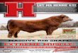 LHT MR HERBIE 63Z - Trauernicht Simmentals · LHT MR HERBIE 63Z Add some pizzazz in your calf crop! Herbie has been a standout since birth and with his blaze face, he is an individual