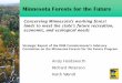 Minnesota Forests for the Future Holdsworth.pdf · Minnesota Forests for the Future Conserving Minnesota’s working forest lands to meet the state’s future recreation, economic,