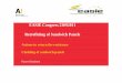 EASIE Congress 23092011 Retrofitting of Sandwich Panels€¦ · EASIE Congress 23092011 Retrofitting of Sandwich Panels ... the service life of the sandwich panel wall and ... the