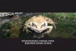 pennsylvania Vernal Pool Identification Guide · Protecting vernal pools and the surrounding 1000 feet of upland habitat is ... (Piedmont, statewide); in ... VERNAL POOL PLANTS. 10