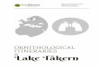 IN Lake Tåkern · 2016-04-08 · IN Lake Tåkern . ORNITHOLOGICAL ITINERARIES ... Osprey (Pandion haliaetus) Sparrow Hawk ... Microsoft Word - Lake Tåkern_Itineraries_v0.docx