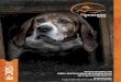 Hereinafter Radio Systems Corporation, Radio ... - … Radio Systems Corporation, Radio Systems PetSafe Europe Ltd., Radio Systems Australia Pty Ltd. and any other affiliate or Brand