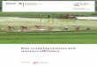 Rice cropping systems and resource efficiency - … Comparison of different rice cropping systems on their resource use and socio-economic and environmental impacts ... This impending