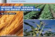 INSIDE THE GRAIN & OILSEED MARKETS - … · INSIDE THE GRAIN & OILSEED MARKETS . 100 acker 1225 ... the market would find itself with more buyers than sellers, ... soybean oil and