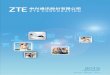  · Company or ZTE ZTE Corporation, ... NDRC National Development Reform Commission of China ... including LTE-Advanced and Wireless MAN-Advanced 