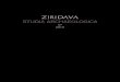STUDIA ARCHAEOLOGICA - Ziridava · STUDIA ARCHAEOLOGICA 27 2013 Editura MEGA Cluj ... the periodical can be obtained through subscription or ... were the test …