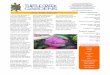 Fall Farm Update Inside This Issue Gamble, Farm Manager farmmanager@turtlecreekgardenscsa.com Kymberly Smith, Newsletter Editor newsletter@turtlecreekgardenscsa.com Fall Farm Update