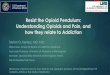 Resist the Opioid Pendulum: Understanding Opioids and … · Resist the Opioid Pendulum: Understanding Opioids and Pain, and how they relate to Addiction Stefan G. Kertesz, MD, MSc