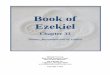 Book of Ezekiel - Bible Study Resource Centerbiblestudyresourcecenter.com/yahoo_site_admin/assets/docs/Ezekiel... · 1 Theme: Recommission of Ezekiel Missler Background Summary: Ezekiel