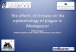 The effects of climate on the epidemiology of plague in Madagascar · 2014-06-13 · epidemiology of plague in Madagascar Kathy Kreppel Matthew Baylis; ... Presently 38 countries