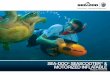 SEA-DOO SEASCOOTERTM MOTORIZED INFLATABLEseadooseascooter.com/pdf/SEASCOOTER_CATALOG_2010.pdf · 6 New generation SEADOO® SEASCOOTER™ EXPLORER™ X is a superior DPV to the market