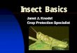 Insect Basics - ARS Home : USDA ARS · 2014-02-19 · Insect Basics Janet J, Knodel Crop ... Crickets Black with ... and white discal spot 