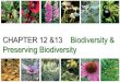 CHAPTER 12 &13 Biodiversity & Preserving Biodiversityvuearth101.weebly.com/uploads/3/7/2/3/37236909/chapter_12...survival to cleaning up our waste with filtering mechanisms. ... Population