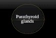 Parathyroid glands - Med Study Group - Blogmsg2018.weebly.com/uploads/1/6/1/0/16101502/3-_parathyroid_gland… · description of normal parathyroid glands after ... Each parathyroid