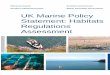 UK Marine Policy Statement: Habitats Regulations Assessmentwebarchive.nationalarchives.gov.uk/.../marine-policy/100721-marine... · UK Marine Policy Statement: Habitats Regulations
