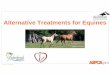 Alternative Treatments for Equines - Home | ASPCApro Treatments for Equines ... Alternative Treatment Modalities ... herbal formula that is appropriate for your horse