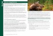 General Moose Regulations - Ontariofiles.ontario.ca/environment-and-energy/fish-and-wildlife/239848.pdf · 34 Hunting Regulations 2014 • 2015 Moose • General Moose Regulations