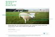 Discussion paper Technical standards - Green Gas Grids · By end of 2012 in eleven European countries biogas was upgraded to ... project partners, ... Commission as part of the mandate