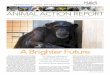 ANIMAL ACTION REPORT - Home | National Anti … ACTION REPORT ADVANCING SCIENCE WITHOUT HARMING ANIMALS A PUBLICATION OF THE NATIONAL ANTI-VIVISECTION SOCIETY • FALL 2013 A Brighter