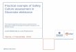 Practical example of Safety Culture assessment · 2014-12-31 · Practical Example of Safety Culture assessment in SE, ... principles for strong safety culture in nuclear utilities
