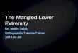 The Mangled Lower Extremity - London Health Sciences … · 2011-10-24 · Level of Amputation Below knee Through knee Above knee Energy of ... Salvage had longer rehab, higher cost,