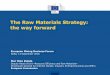 The Raw Materials Strategy: the way forward - bmgk-bg.org Diaz... · The Raw Materials Strategy: the way forward ... EU network of mining and metallurgy regions ... of civil society