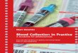 Blood Collection in Practice - Sarstedt · Blood Collection in Practice ... Capillary blood is a mixture of blood originating from arterioles, ... In order to prevent contamination