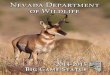Nevada Department of Wildlife Department of Wildlife receives funding through the ... The 2014 post-season aerial survey observations were down from the 2013 survey with about 