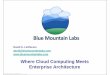 David S. Linthicum d id@bl t i l bdavid@bluemountainlabs ...archive.opengroup.org/public/member/proceedings/q109/q109a/... · Where Cloud Computing Meets Enterprise Architecture 