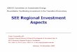 SEE Regional Investment Aspects · SEE Regional Investment Aspects Geneva, 19 November 2003 Trajce Cerepnalkovski, Assistant General Director & Head of Development & Investment Dpt