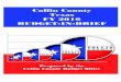 Collin County Texas FY 2016 BUDGET-IN-BRIEF€¦ · Collin County . Texas . FY 2016 . BUDGET-IN-BRIEF . ... the County Judge who is elected at large and four Commissioners ... Cheryl