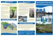 What is a Wetland? What you can do: Christina River ... River Watershed Wetland Health Report Card ... For information on rain gardens visit: ... Polluted runoff inputs from developed