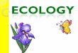 Ecology - East Pennsboro Area School District · Ecology- The scientific study of ... The result of biomagnification ... disasters or human actions Ex: Hurricanes, 