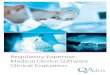 Regulatory Expertise Medical Device Software Clinical ...media.qadvis.com.loopiadns.com/2017/10/qadvis_6... · Medical Device Software Clinical Evaluation . ... interim management